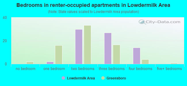 Bedrooms in renter-occupied apartments in Lowdermilk Area