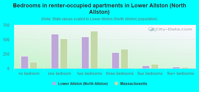 Bedrooms in renter-occupied apartments in Lower Allston (North Allston)