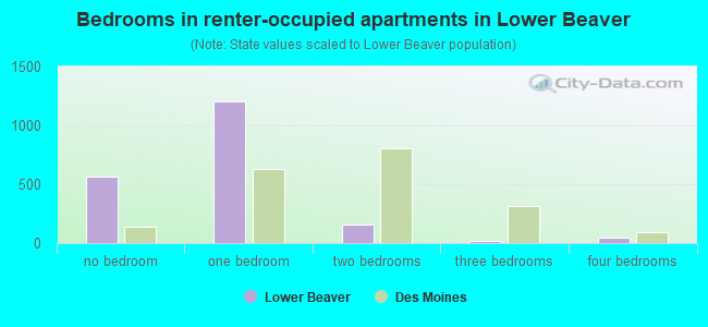 Bedrooms in renter-occupied apartments in Lower Beaver