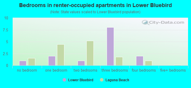 Bedrooms in renter-occupied apartments in Lower Bluebird