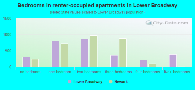 Bedrooms in renter-occupied apartments in Lower Broadway