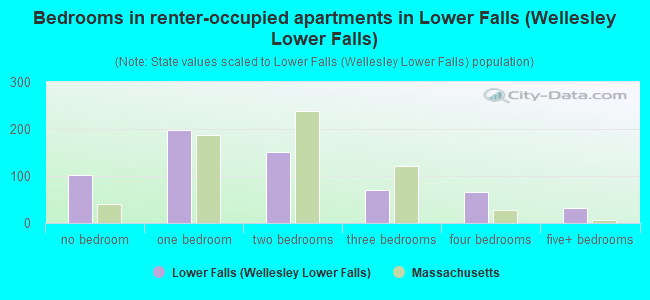 Bedrooms in renter-occupied apartments in Lower Falls (Wellesley Lower Falls)