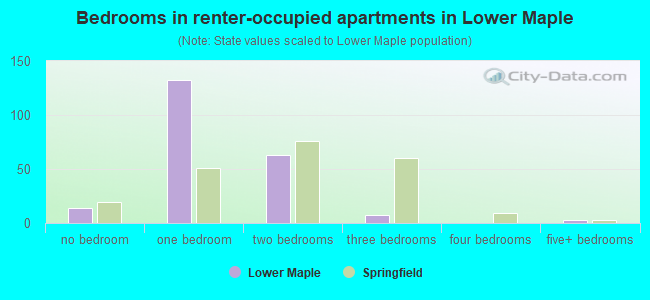 Bedrooms in renter-occupied apartments in Lower Maple
