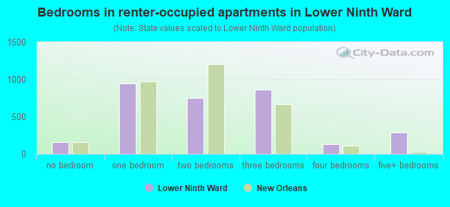 Bedrooms in renter-occupied apartments in Lower Ninth Ward