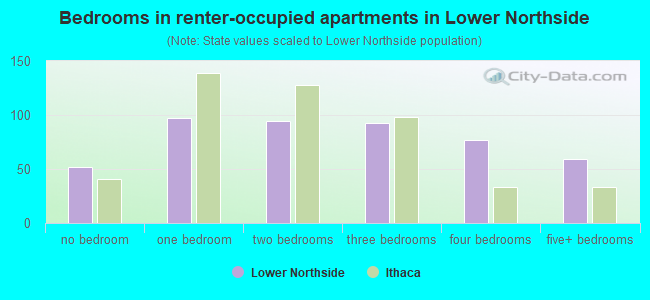 Bedrooms in renter-occupied apartments in Lower Northside