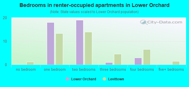 Bedrooms in renter-occupied apartments in Lower Orchard