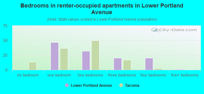 Bedrooms in renter-occupied apartments in Lower Portland Avenue
