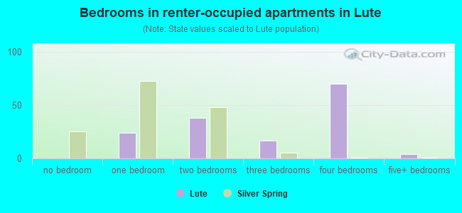Bedrooms in renter-occupied apartments in Lute