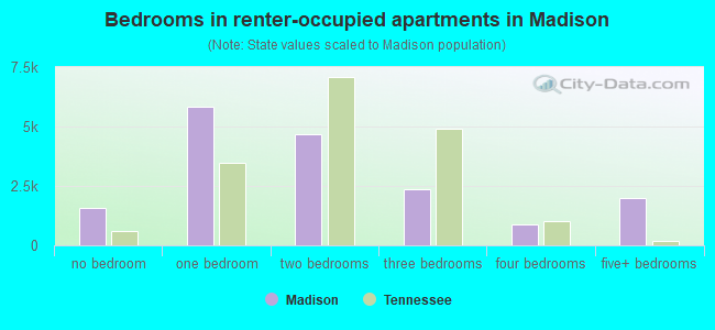 Bedrooms in renter-occupied apartments in Madison
