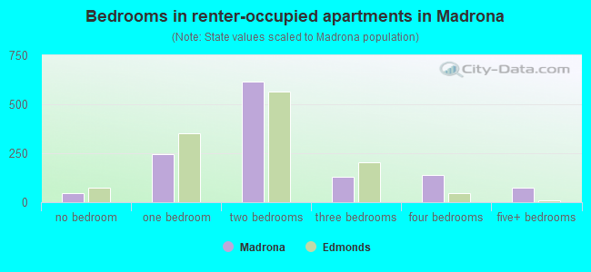 Bedrooms in renter-occupied apartments in Madrona