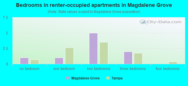 Bedrooms in renter-occupied apartments in Magdalene Grove