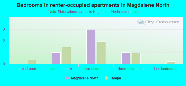 Bedrooms in renter-occupied apartments in Magdalene North