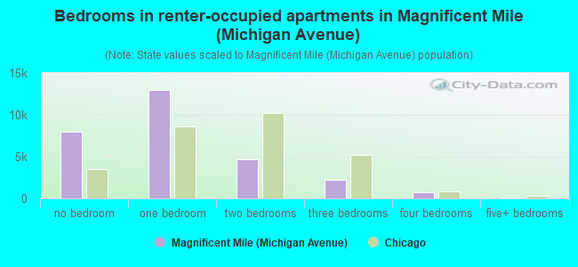 Bedrooms in renter-occupied apartments in Magnificent Mile (Michigan Avenue)