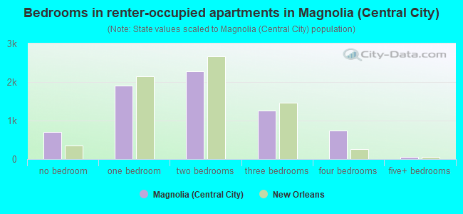 Bedrooms in renter-occupied apartments in Magnolia (Central City)