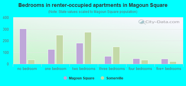 Bedrooms in renter-occupied apartments in Magoun Square