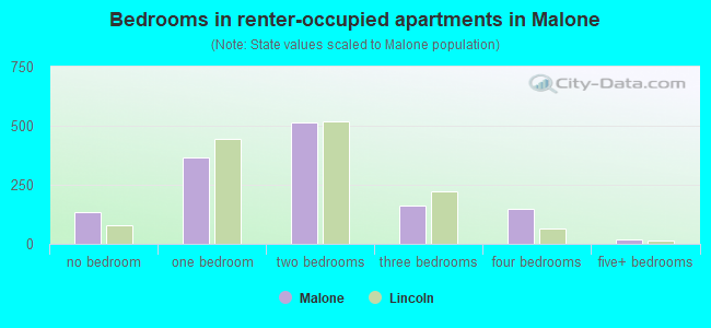 Bedrooms in renter-occupied apartments in Malone