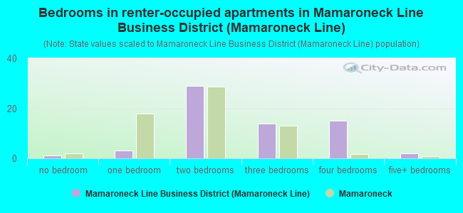 Bedrooms in renter-occupied apartments in Mamaroneck Line Business District (Mamaroneck Line)