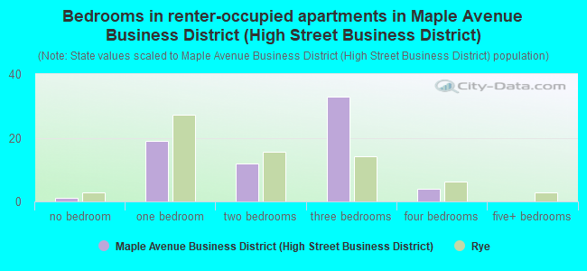 Bedrooms in renter-occupied apartments in Maple Avenue Business District (High Street Business District)