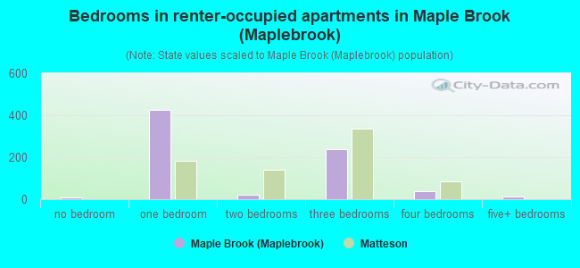Bedrooms in renter-occupied apartments in Maple Brook (Maplebrook)