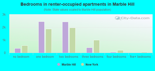 Bedrooms in renter-occupied apartments in Marble Hill