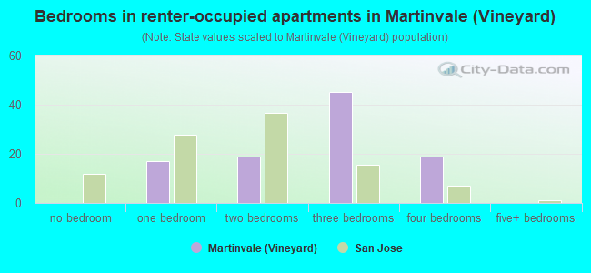 Bedrooms in renter-occupied apartments in Martinvale (Vineyard)