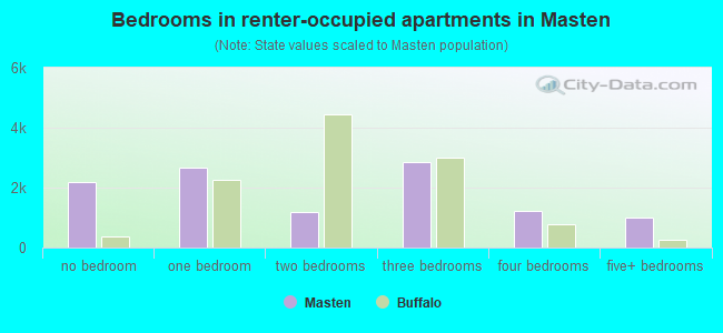 Bedrooms in renter-occupied apartments in Masten
