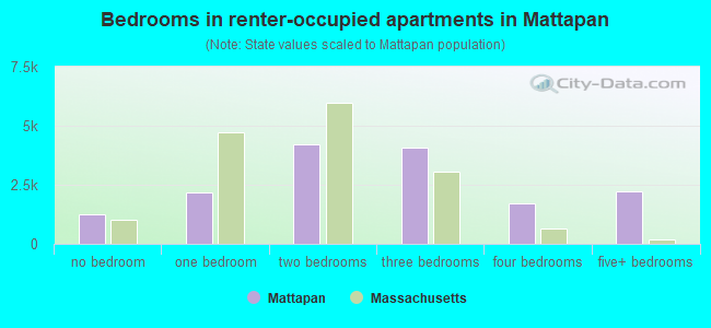 Bedrooms in renter-occupied apartments in Mattapan