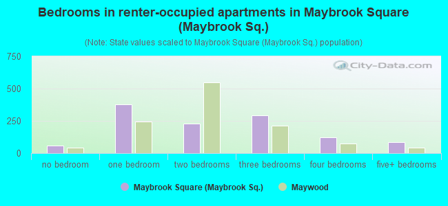 Bedrooms in renter-occupied apartments in Maybrook Square (Maybrook Sq.)