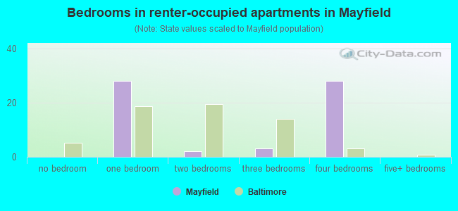 Bedrooms in renter-occupied apartments in Mayfield
