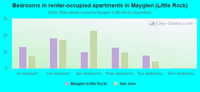 Bedrooms in renter-occupied apartments in Mayglen (Little Rock)