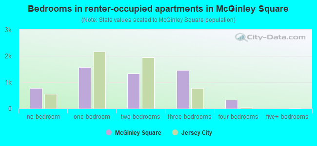 Bedrooms in renter-occupied apartments in McGinley Square