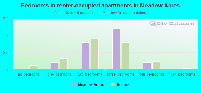 Bedrooms in renter-occupied apartments in Meadow Acres