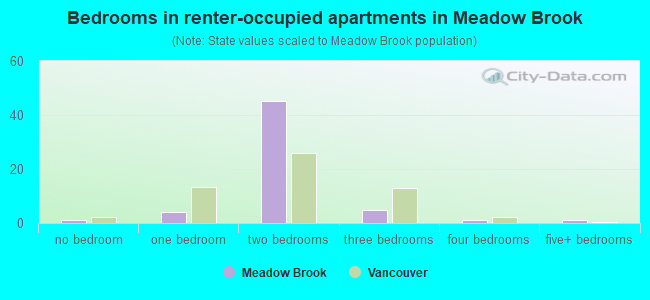 Bedrooms in renter-occupied apartments in Meadow Brook
