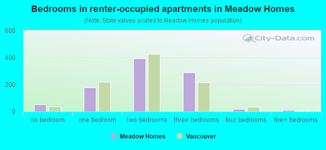 Bedrooms in renter-occupied apartments in Meadow Homes