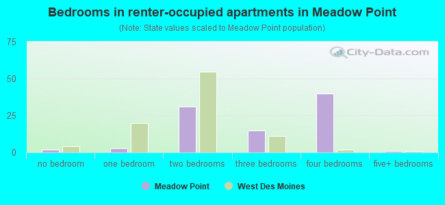 Bedrooms in renter-occupied apartments in Meadow Point