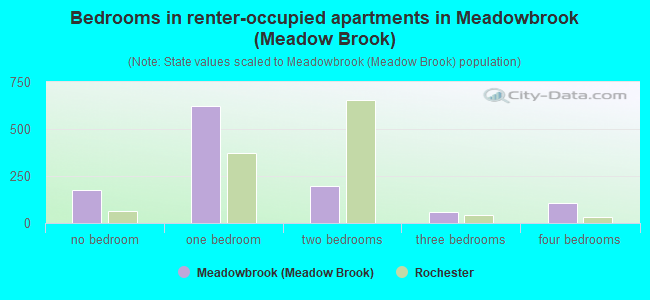 Bedrooms in renter-occupied apartments in Meadowbrook (Meadow Brook)