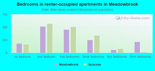 Bedrooms in renter-occupied apartments in Meadowbrook