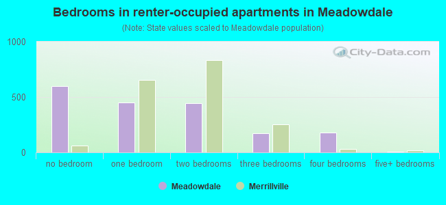 Bedrooms in renter-occupied apartments in Meadowdale