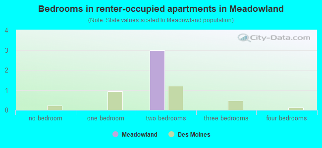 Bedrooms in renter-occupied apartments in Meadowland