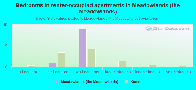 Bedrooms in renter-occupied apartments in Meadowlands (the Meadowlands)