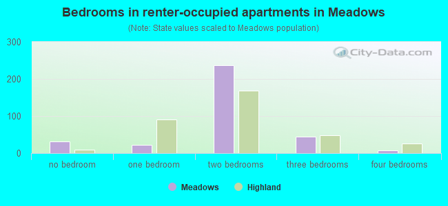 Bedrooms in renter-occupied apartments in Meadows