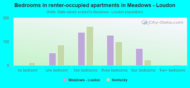 Bedrooms in renter-occupied apartments in Meadows - Loudon