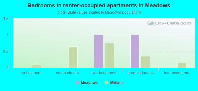 Bedrooms in renter-occupied apartments in Meadows