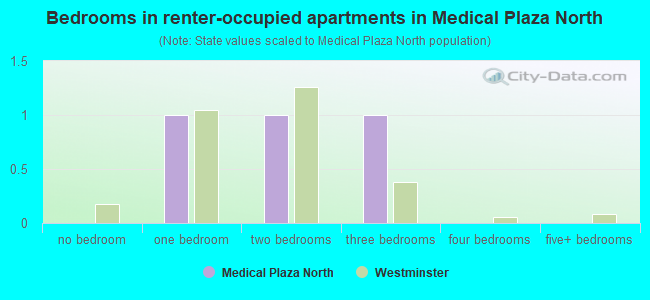 Bedrooms in renter-occupied apartments in Medical Plaza North