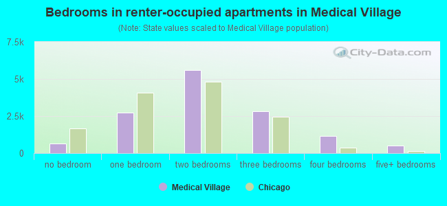 Bedrooms in renter-occupied apartments in Medical Village