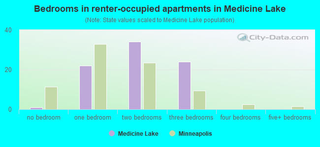 Bedrooms in renter-occupied apartments in Medicine Lake