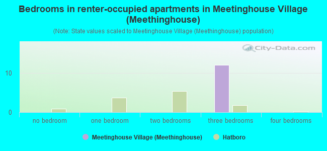 Bedrooms in renter-occupied apartments in Meetinghouse Village (Meethinghouse)