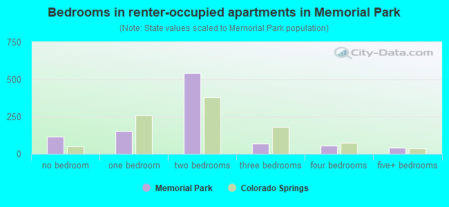 Bedrooms in renter-occupied apartments in Memorial Park