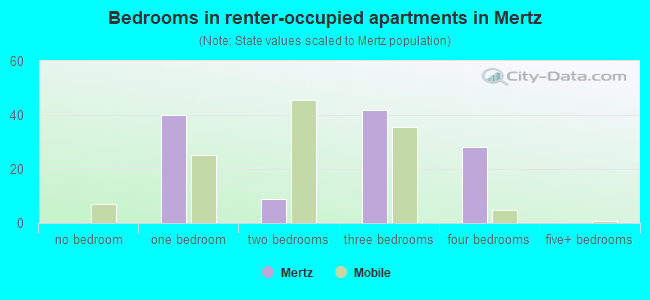 Bedrooms in renter-occupied apartments in Mertz