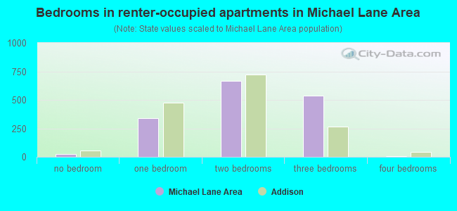 Bedrooms in renter-occupied apartments in Michael Lane Area